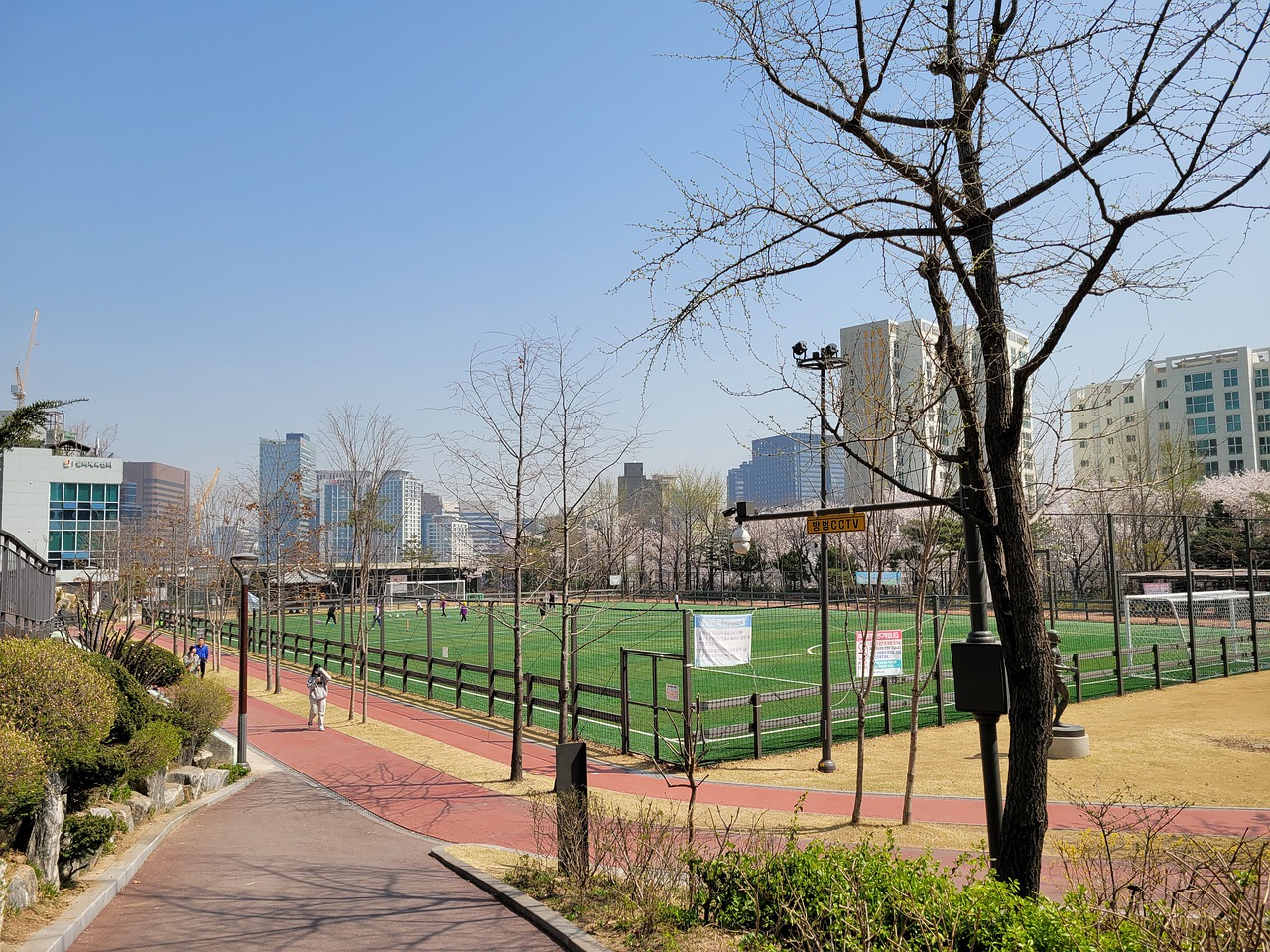 舞蹈和体操 舞蹈和体操