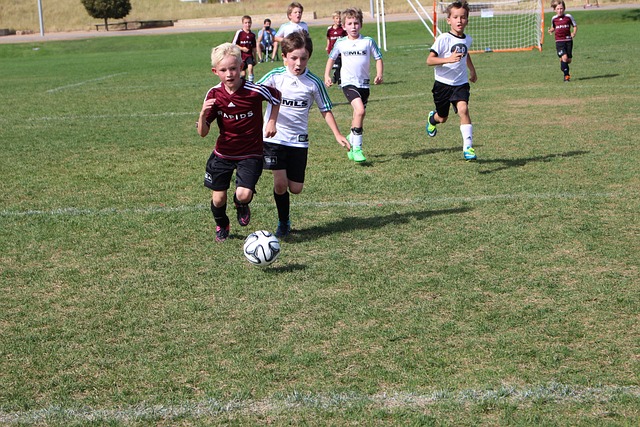 到成功的关 到成功的关