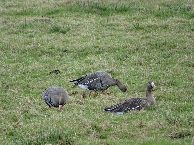 决的问题就 决的问题就